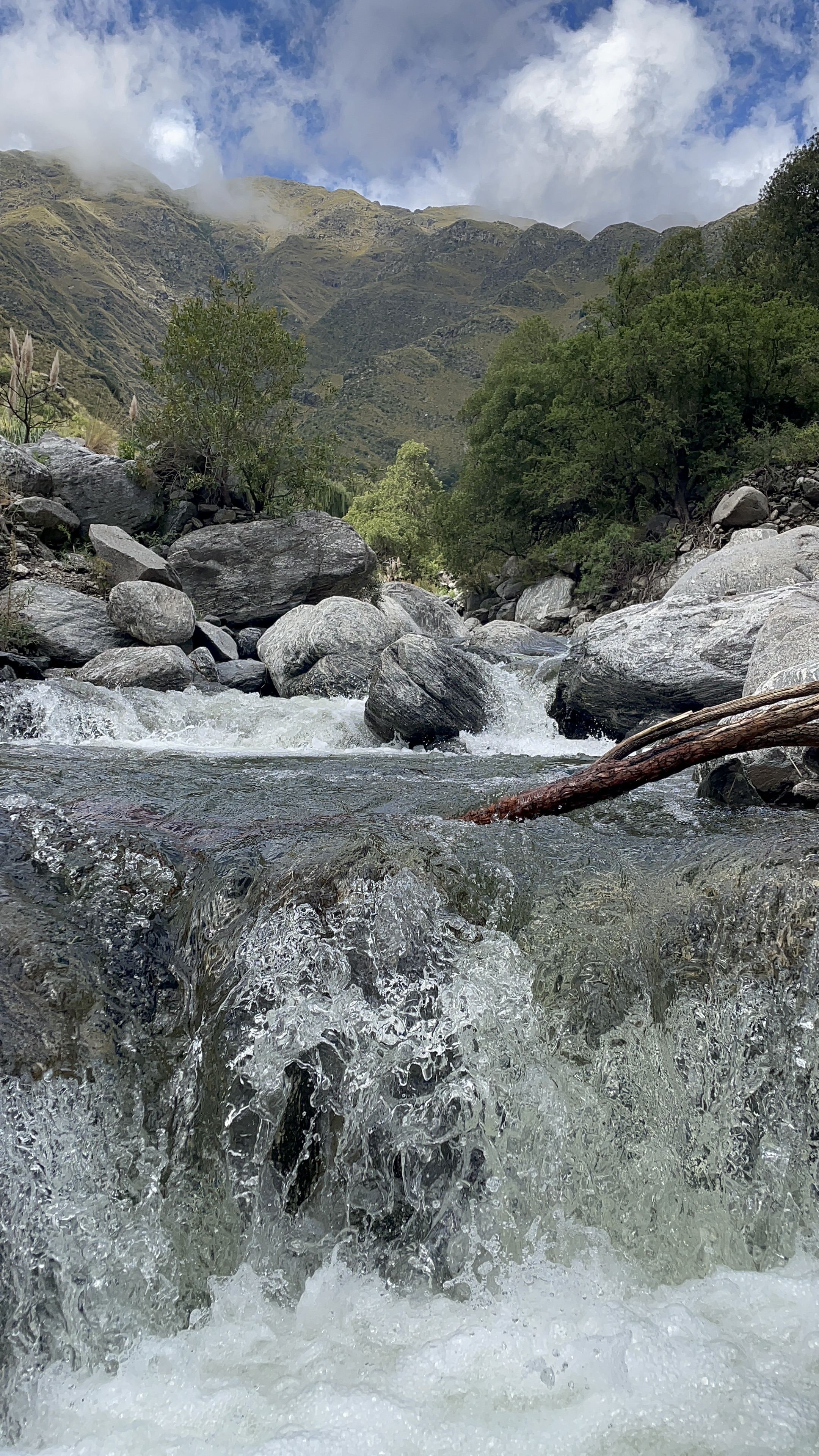 Rincón del Este gallery image 15